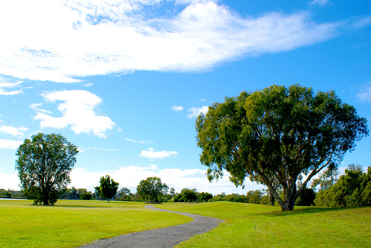 青空と公園