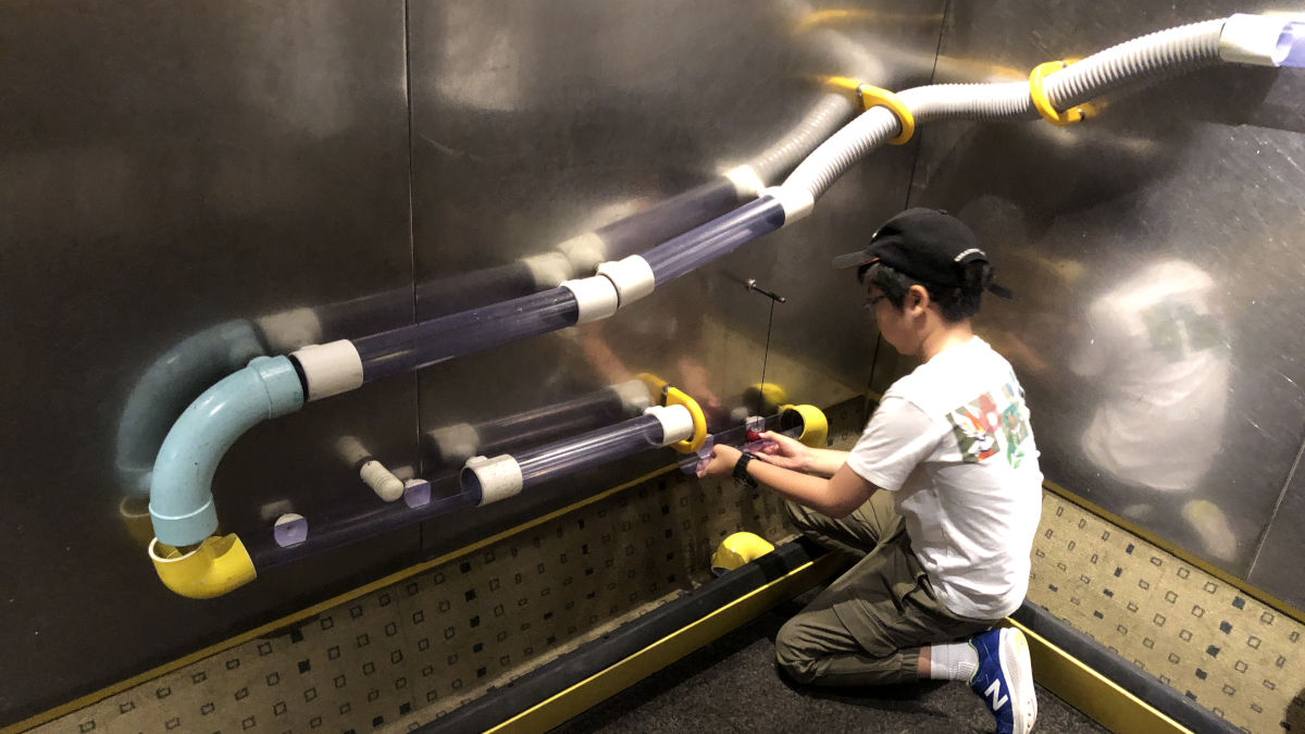 小学生にSparkLabがおすすめ！ 魅力解説 – Queensland Museum – | lifestylenotes.com.au