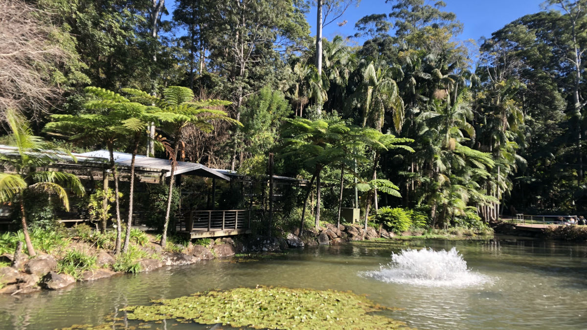 タンボリンマウンテンにある植物園