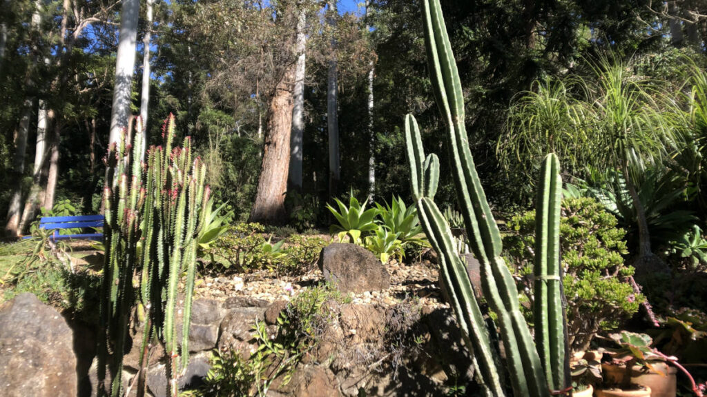 タンボリンマウンテンにある植物園