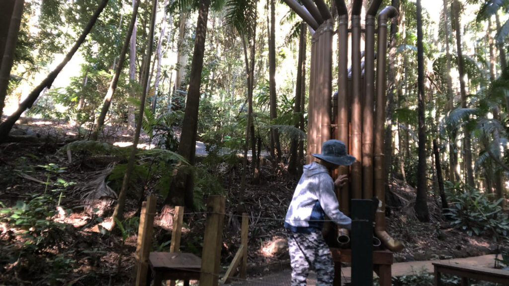 タンボリンマウンテンにある植物園